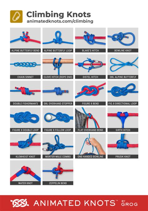 Best Climbing Rope With Knots Image Rocks