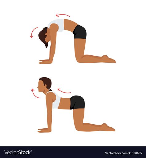 Woman Doing Yoga Cat Cow Stretch Exercise Vector Image