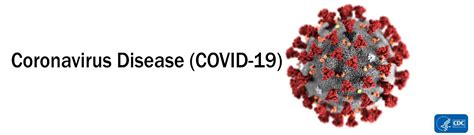 An official website of the national institutes of health. Novel Coronavirus (COVID-19) Outbreak Information | IDPH