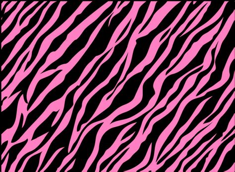 48 Pink Zebra Wallpaper Wallpapersafari