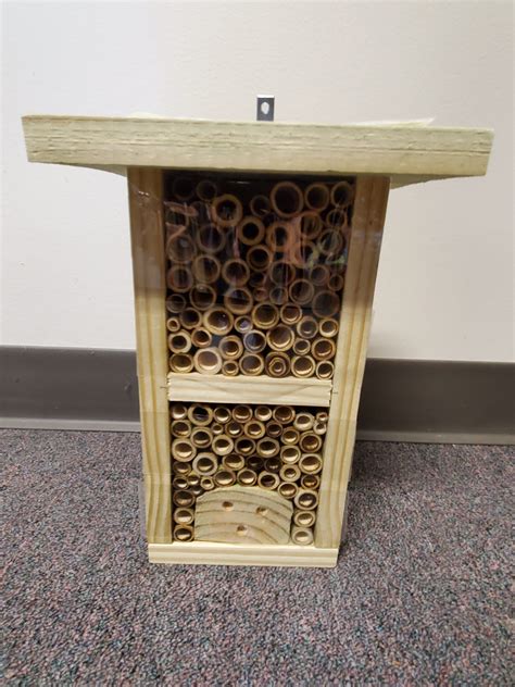Native Bee Nesting Shelters Near Blooming Redbud Trees Nc