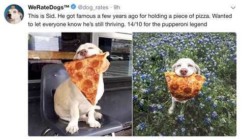 43 Of The Most Dank Memes Youve Ever Laid Your Eyes On Gallery