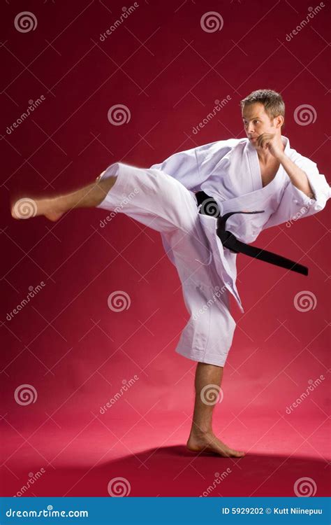Karate Kick By Black Belt Stock Photo Image Of Black 5929202