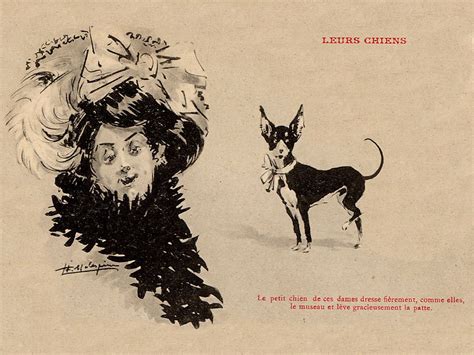 English Toy Terrier And Lady English Toy Terrier Vintage Dog Terrier