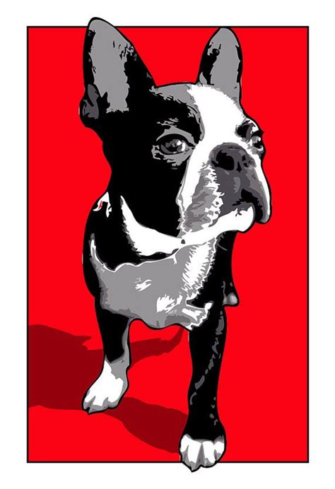Boston Terrier Dog Art Print Illustration By Mediagraffitistudio