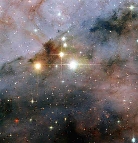 Space In Images 2008 11 Mammoth Stars Seen By Hubble