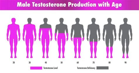 How Does Testosterone Level Affect Men Empowering Wellness