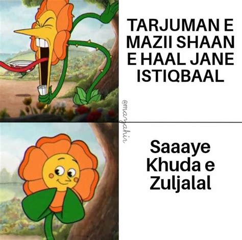 Pin by Shayan289 on Urdu Memes in 2020 | Reddit funny, Bad ...