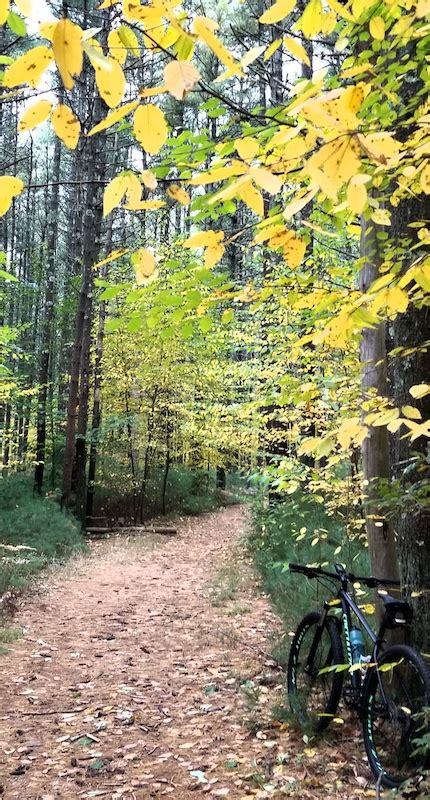 Yellow Trail Multi Trail Easton Massachusetts