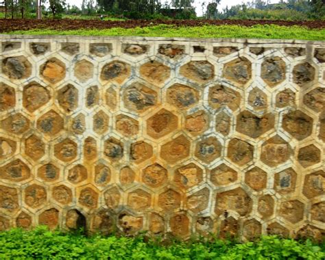 The Peace Bee Farmer Honeycomb Walls
