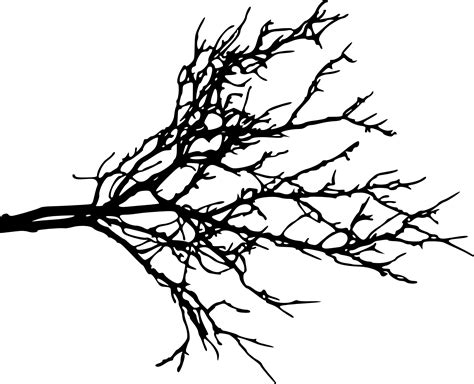 Silhouette Tree Branches At Getdrawings Free Download
