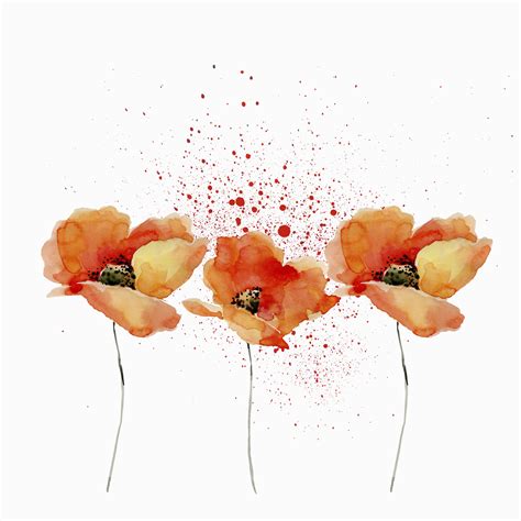 Buy Watercolor Poppies Wallpaper Free Shipping