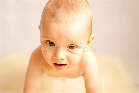 Baby Boy Stock Photo Image Of Human Baby Beautiful 44082748