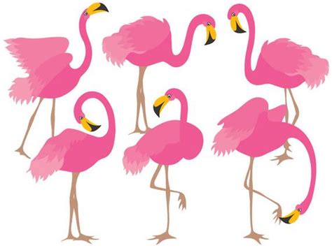 Flamingo Clipart Digital Vector Flamingo Bird Exotic