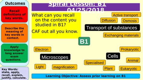 Biology B1 Cells Revision Independent Graded Activity Teaching Resources