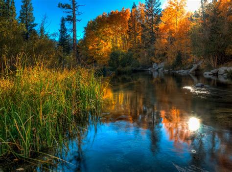 Download Stone Reflection Nature Grass Forest Fall Pond 4k Ultra Hd