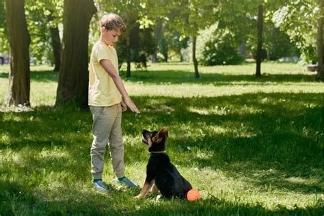 How To Teach Kids To Train A Dog Verbnow