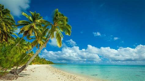 Nature Landscape Beach Sea Island Palm Trees Tropical Clouds