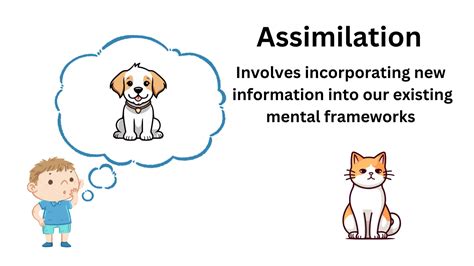 Assimilation In Psychology Definition And Examples Explore Psychology