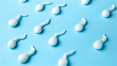 Les Aliments Qui Affectent La Qualité Du Sperme Celine Saloumi Nutrition