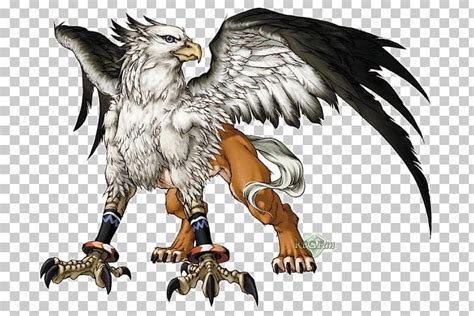 Legendary Creature Griffin Mythology Phoenix Png Clipart Beak Bird