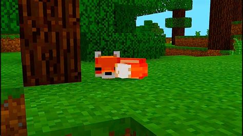 Minecraft Fox Sleeping Asmr Youtube