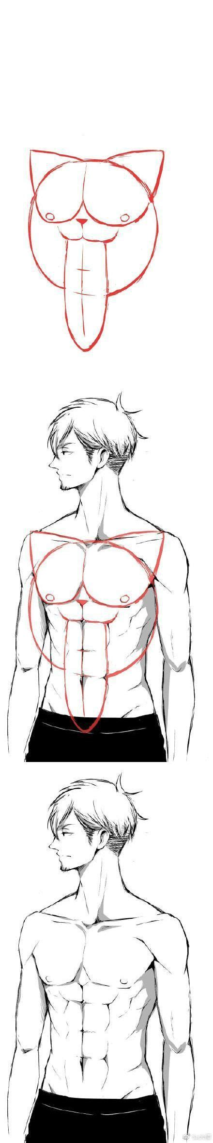 Drawing Tutorial How To Draw Abs Art Reference