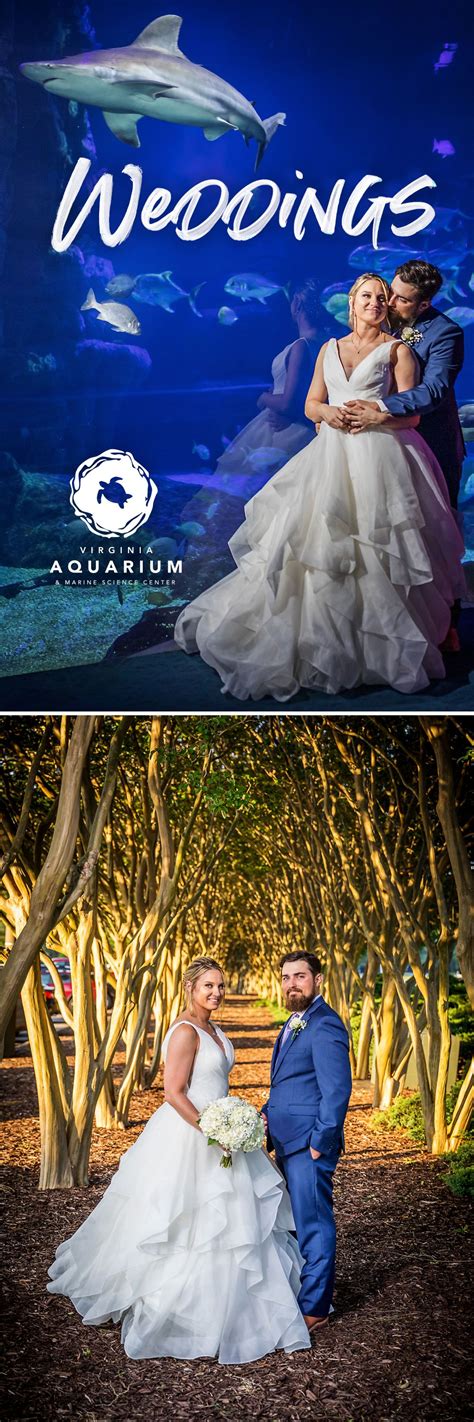 Weddings At The Virginia Aquarium In 2020 Private Event