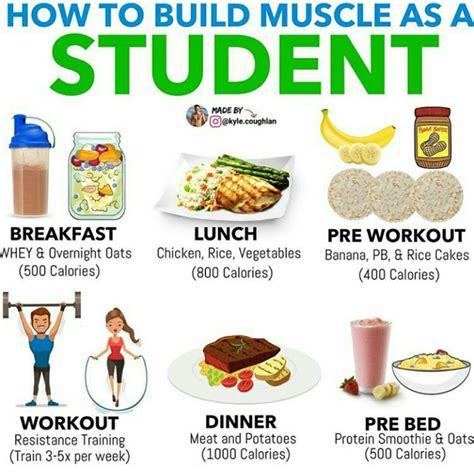 Gym Food When It Comes To Strength Sports And Bodybuilding In College