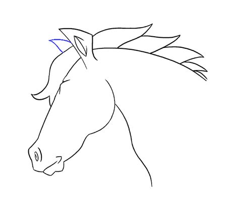In this video we tried to draw cute, little and baby kind of horse which is quite far from the realistic one. How to draw a Horse's Head | Easy Drawing Guides