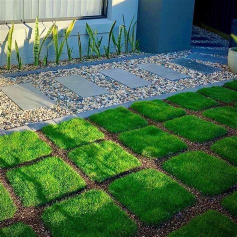 We Absolutely Love The Zoysia Tenuifolia Plant Tiles Love This Pic