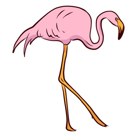 Flamingo Beak Neck Leg Illustration Transparent Png And Svg Vector File