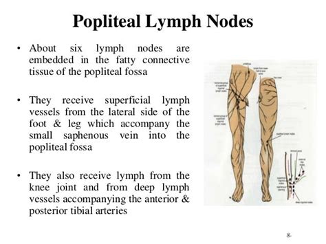 Enlarged Popliteal Lymph Node