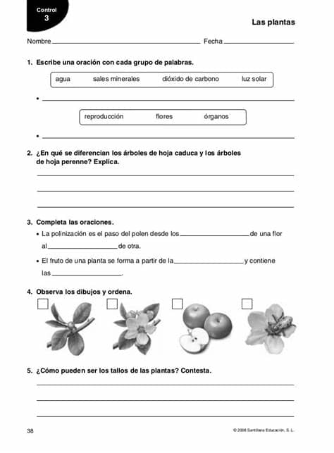 Matematicas ii 2 bachillerato la casa del. La casa del saber 4º | Ciencia natural, Evaluacion y ...