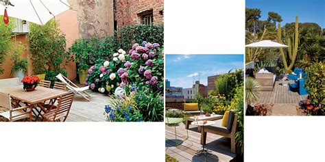 Create a green oasis in your home