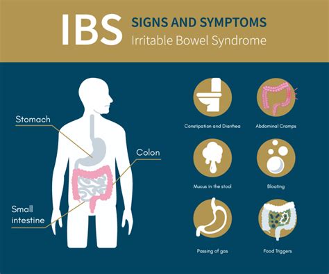 Irritable Bowel Syndrome My Blog