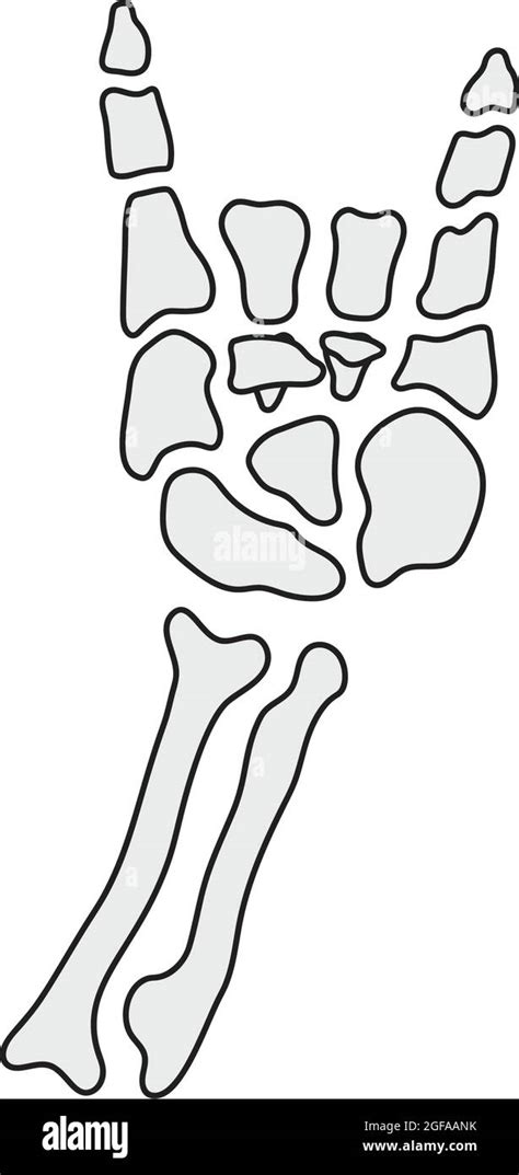 Rock Bony Skeleton Gesture Vector Hand Drawing Stock Vector Image And Art