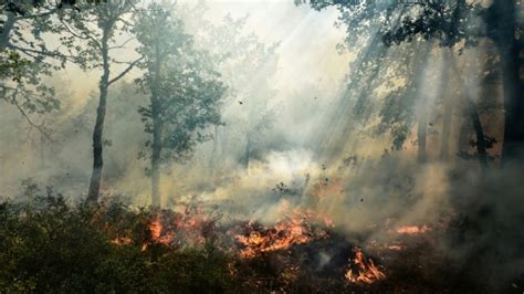 Dans un nouveau point de la situation à 15h, la préfecture du var indique que la situation n'est toujours pas maîtrisée. Le nombre d'incendies de forêts est-il en hausse en France ...