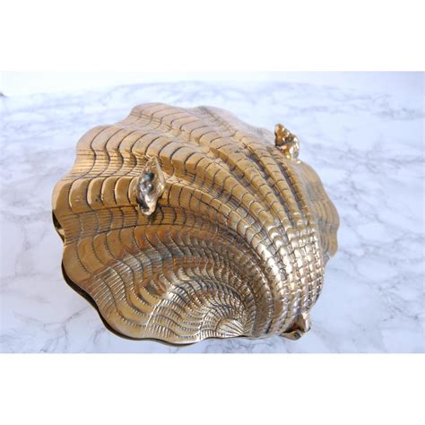 Large Hinged Brass Clam Shell Aptdeco
