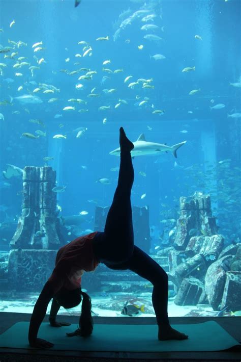 Dubai First Underwater Yoga Class Spa It Girl
