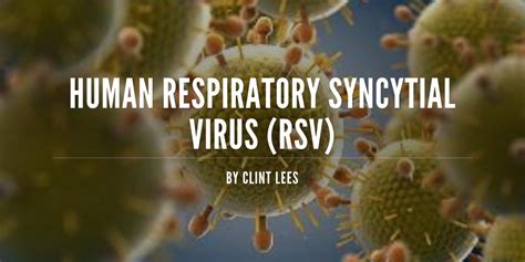 Human Respiratory Syncytial Virus Rsv