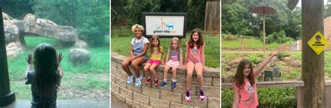 A Wild Day At South Carolinas Greenville Zoo Kids Out And About