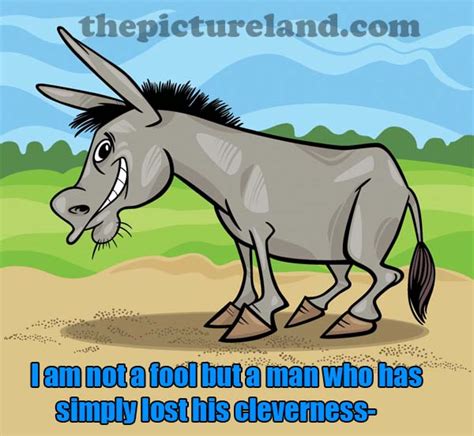 Donkeys Saying Funny Quotes Quotesgram