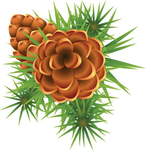 Pinecone clipart greenery, Pinecone greenery Transparent FREE for download on WebStockReview 2021