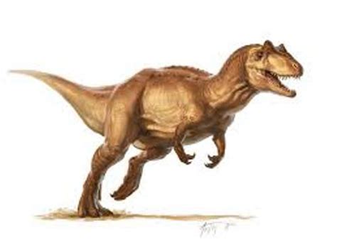 10 Facts About Allosaurus Fact File