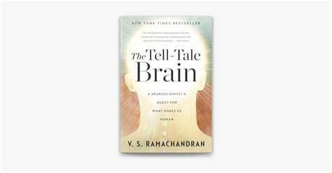 ‎the Tell Tale Brain A Neuroscientist S Quest For What Makes Us Human On Apple Books