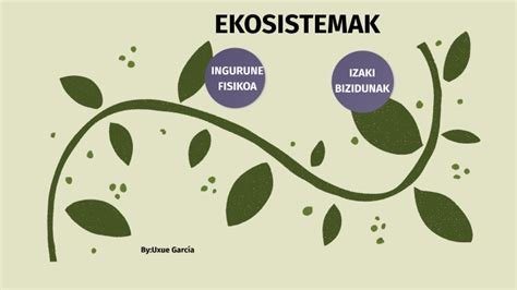Ekosistema By Uxue Galende