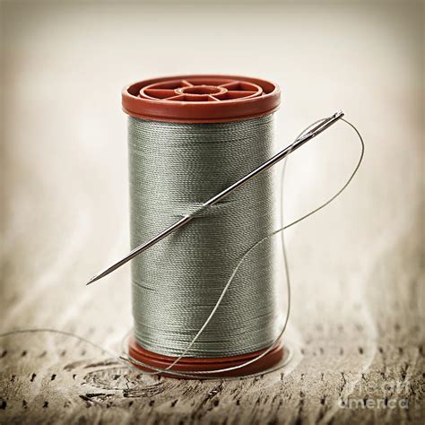 Thread And Needle Photograph By Elena Elisseeva