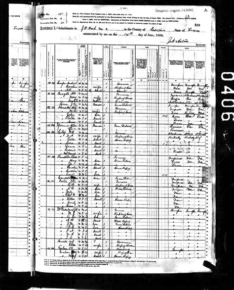 Texas 1890 Census