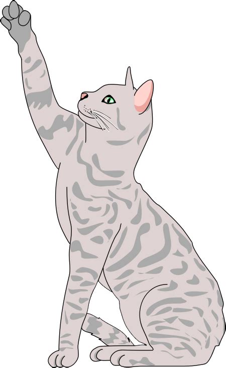 Free Cat Clipart Png, Download Free Cat Clipart Png png images, Free ClipArts on Clipart Library